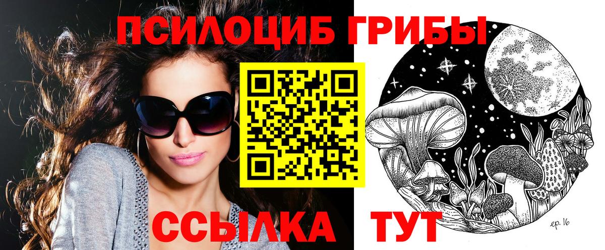 Галлюциногенные грибы Psilocybe  Вход с VPN  купить  цена  Городец 