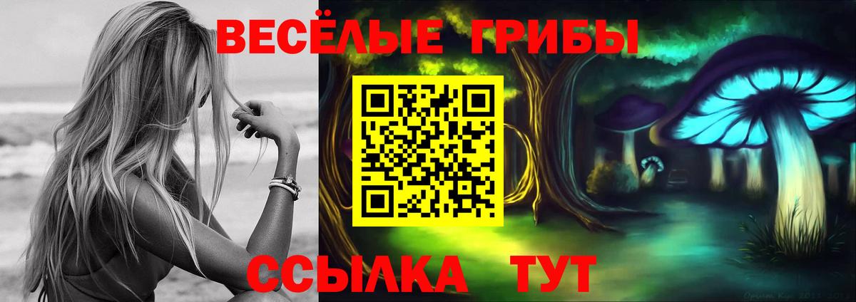 Псилоцибиновые грибы ЛСД Городец